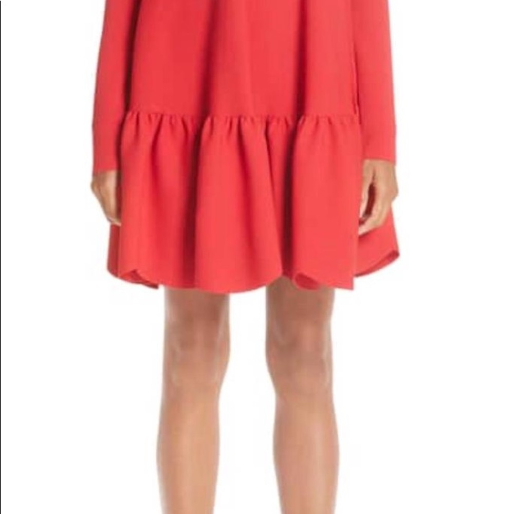 Gorgeous Valentino Dress